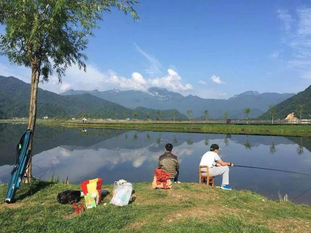 钓鱼被派出所抓了怎么办