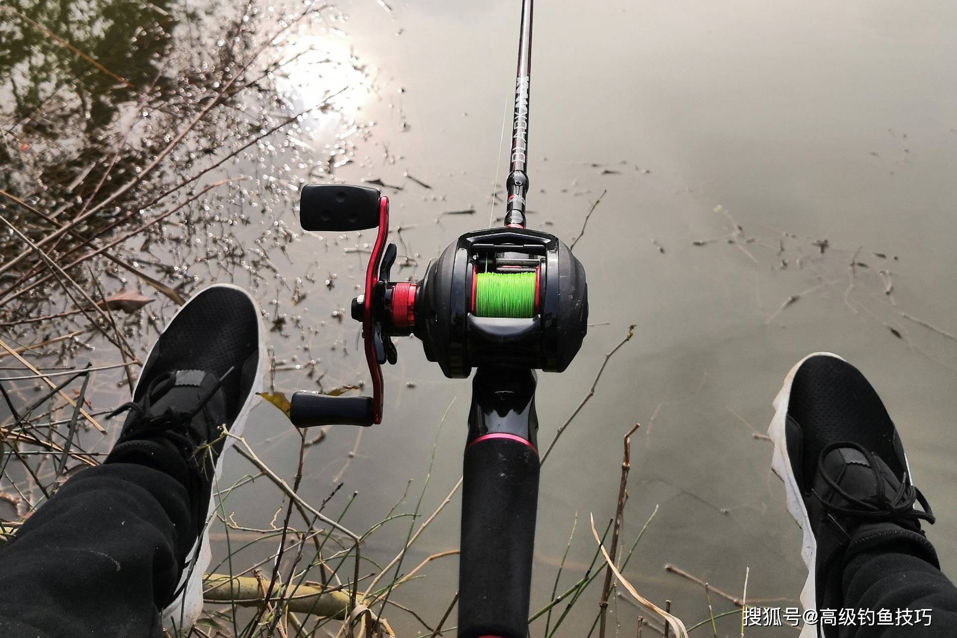 自娱自乐的鱼