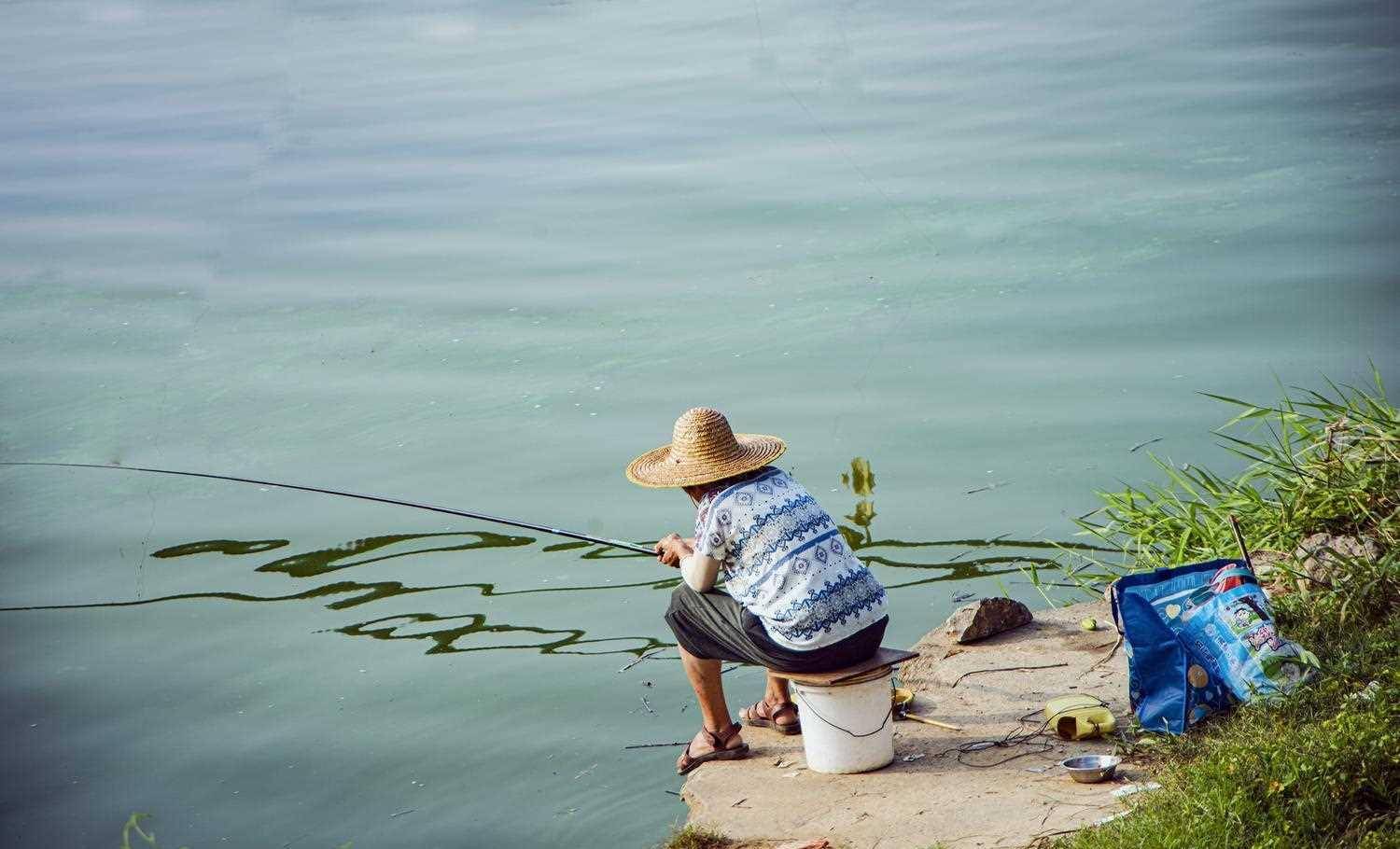 鱼饵小药
